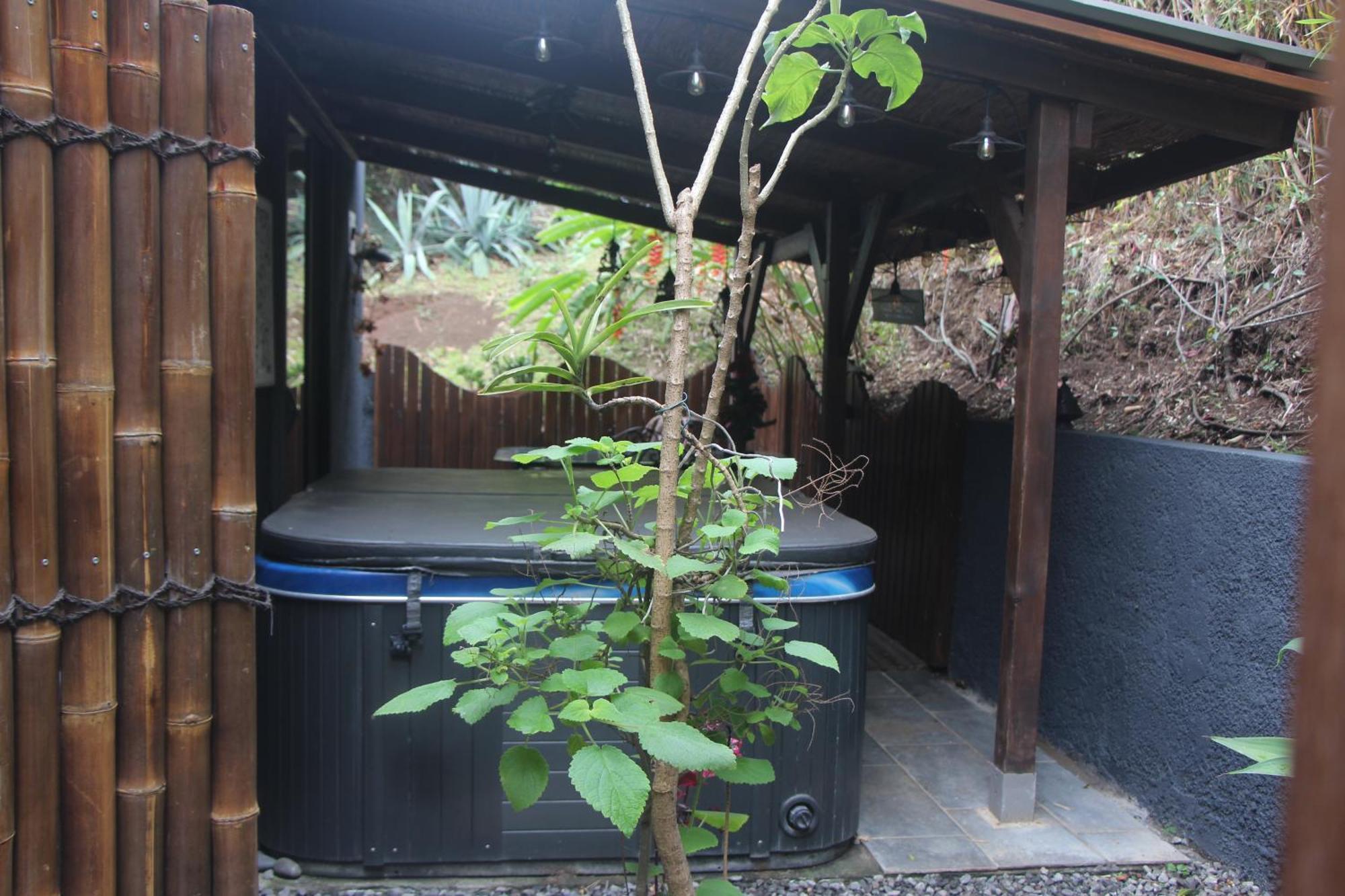 La Liane De Jade 974-Lodge Le Palissandre - Jacuzzi Privatif - Piscine Chauffee Le Bois de Nefles  Luaran gambar