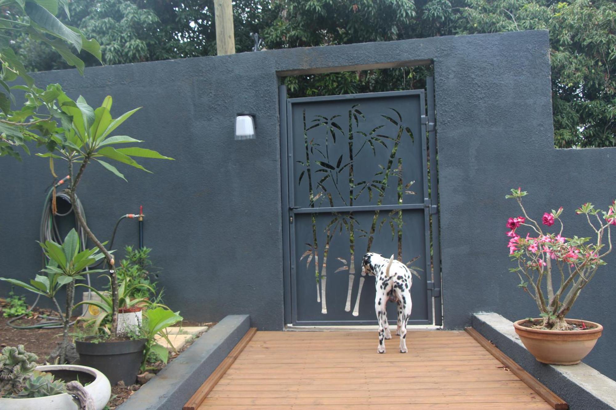 La Liane De Jade 974-Lodge Le Palissandre - Jacuzzi Privatif - Piscine Chauffee Le Bois de Nefles  Luaran gambar